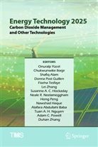 Shafiq Alam, Shafiq Alam et al, Alafara Abdullahi Baba, Donna Post Guillen, Nawshad Haque, Susanna A. C. Hockaday... - Energy Technology 2025