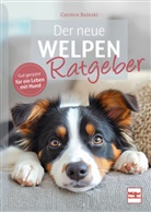 Carsten Bainski - Der neue Welpenratgeber