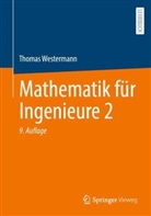 Thomas Westermann - Mathematik für Ingenieure 2