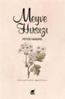 Peter Handke - Meyve Hirsizi