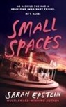 Sarah Epstein - Small Spaces