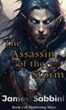 James Sabbini - The Assassin of the Storm