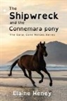 Elaine Heney - The Shipwreck and the Connemara Pony - Dyslexia Friendly