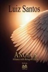 Luiz Santos - Angels - Alliance with Beings of Light