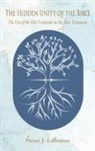 Pieter J. Lalleman - The Hidden Unity of the Bible