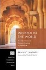 Brian C. Hughes - Wisdom in the World