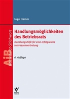 Ingo Hamm - Handlungsmöglichkeiten des Betriebrats