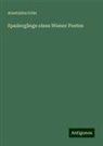 Anastasius Grün - Spaziergänge eines Wiener Poeten