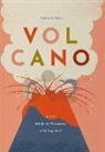 Patricia Geis - Volcano