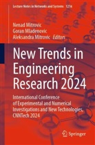 Aleksandra Mitrovic, Nenad Mitrovic, Goran Mladenovic - New Trends in Engineering Research 2024