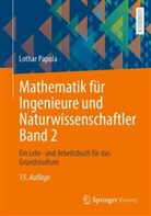Lothar Papula - Mathematik für Ingenieure und Naturwissenschaftler Band 2