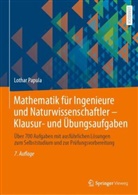 Lothar Papula - Mathematik für Ingenieure und Naturwissenschaftler - Klausur- und Übungsaufgaben