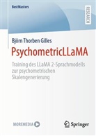 Björn Thorben Gilles - PsychometricLLaMA