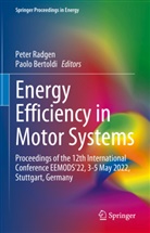 Bertoldi, Paolo Bertoldi, Peter Radgen - Energy Efficiency in Motor Systems