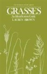 Lauren Brown - Grasses