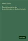 Friedrich Schmidt - Über die Petrefakten der Kreideformation von der Insel Sachalin