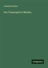 Johannes Scherr - Das Trauerspiel in Mexiko