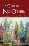 David A. Brondos - A God Like No Other