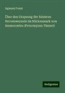 Sigmund Freud - Über den Ursprung der hinteren Nervenwurzeln im Rückenmark von Ammocoetes (Petromyzon Planeri)
