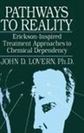 John D Lovern, Lovern John D. - Pathways To Reality: Erickson-Inspired Treatment Aproaches To Chemical dependency