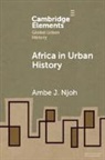 Ambe J. Njoh, Ambe J. (University of South Florida) Njoh, Njoh Ambe J. - Africa in Urban History