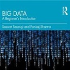 Saswat Sarangi, Pankaj Sharma, John Palmer - Big Data (Audio book)