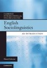Daniel Schreier, Daniel (University of Zurich) Schreier, Schreier Daniel - English Sociolinguistics