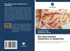Lawrence Kok, Malefane Lebusa - Die Sparvereine (Stokvels) in Südafrika