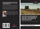 Elvis Albert Robe Wandscheer - From the countryside to the city: the population and the rural space of Horizontina-RS
