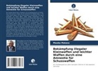 Mwaba Makasa - Bekämpfung illegaler Kleinwaffen und leichter Waffen durch eine Amnestie für Schusswaffen