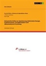 Nele Schlenker - Galvanische Zellen zur Speicherung elektrischer Energie. Funktionsweise, Grundprinzipien und Akkumulatoren-Forschung