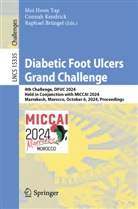 Raphael Brüngel, Connah Kendrick, Moi Hoon Yap - Diabetic Foot Ulcers Grand Challenge