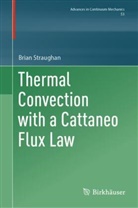 Brian Straughan - Thermal Convection with a Cattaneo Flux Law
