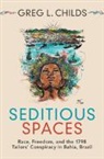 Greg L. Childs, Greg L. (Brandeis University Childs - Seditious Spaces