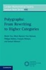 Dimitri Ara, Dimitri (Aix-Marseille Universite) Burroni Ara, Albert Burroni, Yves Guiraud, Philippe Malbos, Francois Metayer... - Polygraphs: From Rewriting to Higher Categories