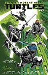 Jason Aaron, Rafael Albuquerque, Cliff Chiang, Joëlle Jones, Darick Robertson - Teenage Mutant Ninja Turtles, Vol. 1: Return to New York