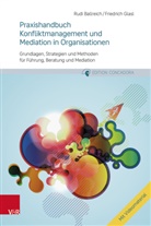 Rudi Ballreich, Friedrich Glasl - Praxishandbuch Konfliktmanagement und Mediation in Organisationen