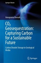 Annapurna Boruah - CO2 Geosequestration: Capturing Carbon for a Sustainable Future