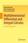 Bruno Antonio Cifra, Enrico De Bernardis, Giorgio Riccardi - Multidimensional Differential and Integral Calculus