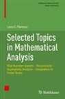 Liviu C. Florescu - Selected Topics in Mathematical Analysis