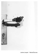 Jochen Lempert. Natural Sources (Français)