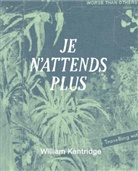 William Kentridge - William Kentridge. Je n´attends plus