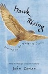 John Cowan - Hawk Rising