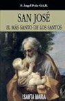 P. Ángel Peña O. A. R. - San José