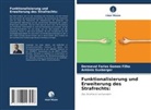 Dermeval Farias Gomes Filho, Antônio Suxberger - Funktionalisierung und Erweiterung des Strafrechts: