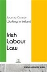Joanna Connor - Working in Ireland