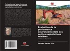 Hermam Vargas Silva - Évaluation de la performance environnementale des petites exploitations minières