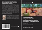 Hermam Vargas Silva - Evaluación del comportamiento medioambiental de las pequeñas explotaciones mineras