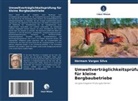 Hermam Vargas Silva - Umweltverträglichkeitsprüfung für kleine Bergbaubetriebe