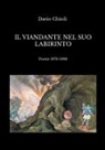 Dario Chioli - Il viandante nel suo labirinto
